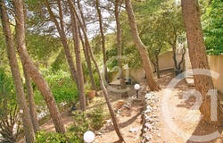 Beaucaire, Gard 30300