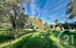 Opio, Alpes-Maritimes 06650
