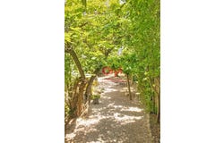 Vernet-les-Bains, Languedoc-Roussillon 66820