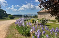 Sault, Vaucluse 84390