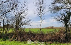 La Jonchère, Pays de la Loire 85540