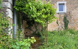 Toulouse-Le-Chateau, Franche-Comté 39230
