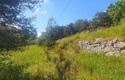 Caille, Provence-Alpes-Côte d'Azur 06750
