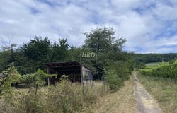 Wangen, Bas-Rhin 67520