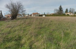 Ribérac, Aquitaine 24600