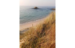 Plouguerneau, Finistère 29880