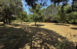 Saint-Jean-du-Pin, Gard 30140