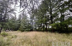 Cahors, Lot 46000