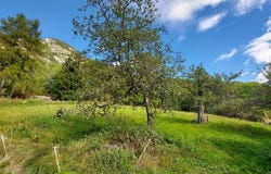 VAUJANY, Auvergne-Rhône-Alpes 38114