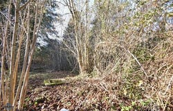 CHATILLON SUR CHER, Centre 41130
