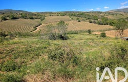 Montner, Occitanie 66720