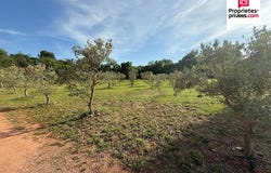 Le Luc, Provence-Alpes-Côte d'Azur 83340