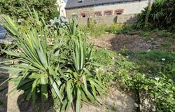 Plourhan, Brittany 22410