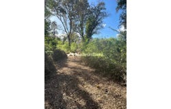 Ventiseri, Haute-Corse 20240