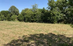 Liez, Vendée 85420