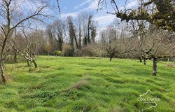Toucy, Bourgogne-Franche-Comté 89130