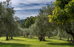 Sisteron, Provence-Alpes-Côte-d'Azur 04200