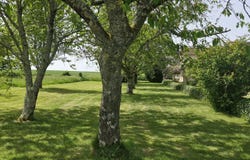Bunzac, Poitou-Charentes 16110
