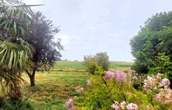 Thilouze, Centre-Val de Loire 37260