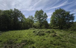 Loreux, Loir-et-Cher 41200