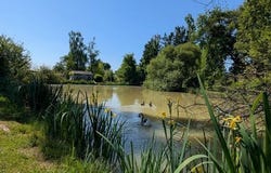 Thollet, Vienne