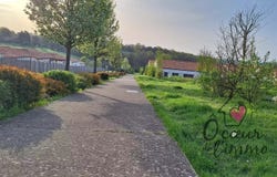 Mortagne-sur-Sèvre, Vendée 85290