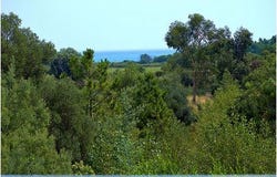 Solaro, Corse 20240