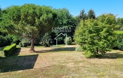 Marsangy, Yonne 89500