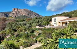 AFA, Corsica 20167
