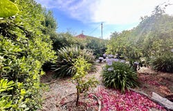 Juan-les-Pins, Provence-Alpes-Côte-d'Azur 06160