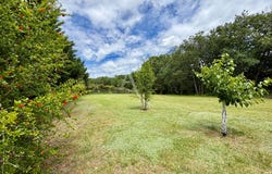 BESSIERES, Occitanie 31660