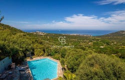 Monticello, Corsica 20220