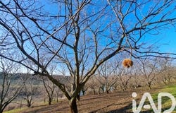 Ozon, Auvergne-Rhône-Alpes 07370