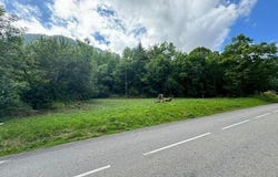 Thollon-Les-Memises, Rhône-Alpes 74500