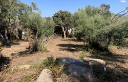 Sotta, Corsica 20146