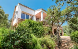 Bormes-les-Mimosas, Provence-Alpes-Côte d'Azur 83230