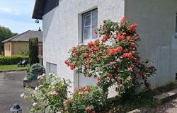 MONTBELIARD, Bourgogne-Franche-Comté 25200