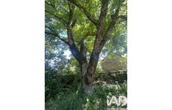 Rodelle, Occitanie 12340