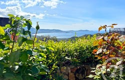 LUMIO, Corsica 20260