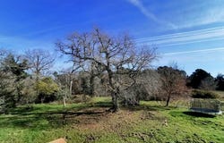 Laruscade, Aquitaine 33620