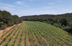 CREISSAN, Languedoc-Roussillon 34370