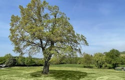 CASTERA VERDUZAN, Occitanie 32410