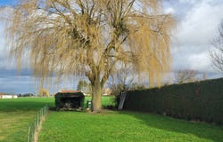 Richebourg, Hauts-de-France 62136