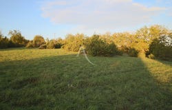 PRAYSSAC, Occitanie 46220