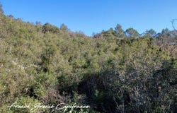 TOURVES, Provence-Alpes-Côte d'Azur 83170