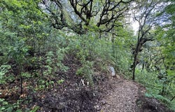 Valle-di-Mezzana, Corse-du-Sud 20167