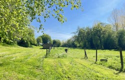 Wail, Nord-Pas-de-Calais 62770