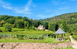 Ribeauvillé, Alsace 68150