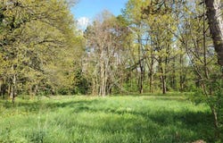 VITRY AUX LOGES, Centre-Val de Loire 45530