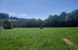 Noailhac, Tarn 81490